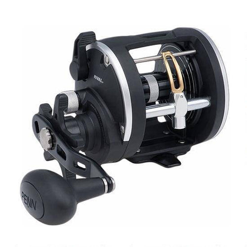 Wildhunter.ie - Penn | Rival Level Wind | Fishing Reel -  Sea Fishing Reels 