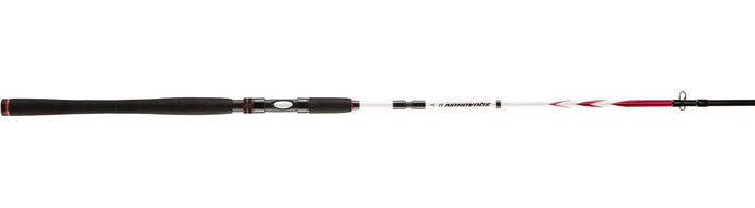 Wildhunter.ie - Penn | Squadron II SW | Spin -  Sea Fishing Rods 