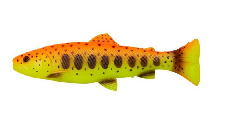 Load image into Gallery viewer, Wildhunter.ie - Savage Gear | 3D Craft Trout Pulsetail | 104g | 20cm -  Predator Lures 
