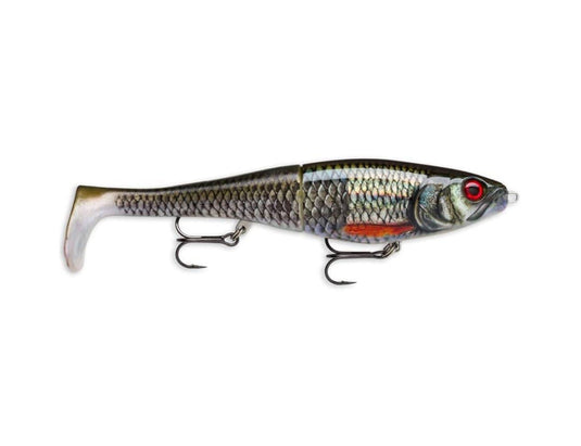 Wildhunter.ie - Rapala X-Rap Peto 20cm Slow Sinking Live Roach -  Predator Lures 