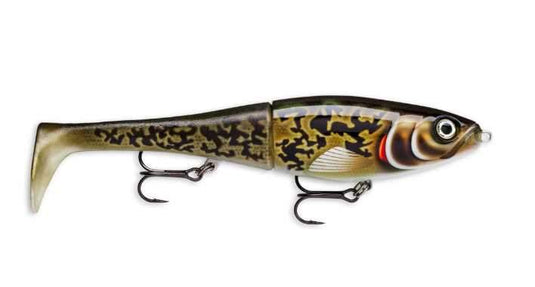 Wildhunter.ie - Rapala | X-Rap Peto | Slow Sinking | 20cm -  Predator Lures 