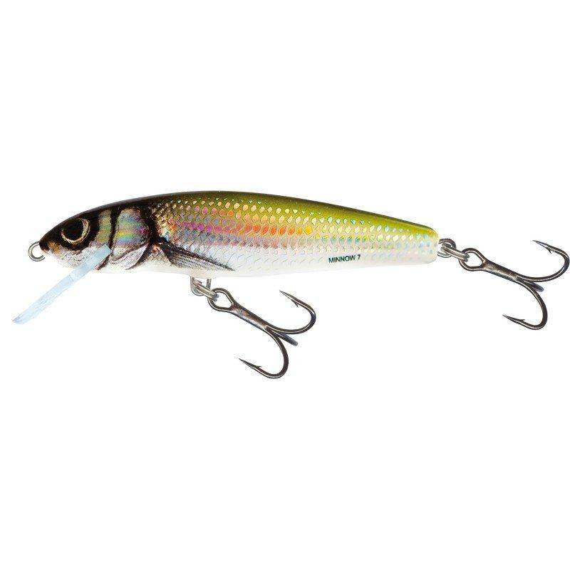 Load image into Gallery viewer, Wildhunter.ie - Salmo | Minnow | Floating | 5cm | 3g -  Trout/Salmon Lures 
