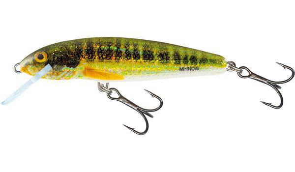 Load image into Gallery viewer, Wildhunter.ie - Salmo | Minnow | Floating | 7cm | 6g -  Trout/Salmon Lures 
