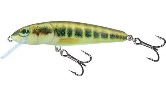 Wildhunter.ie - Salmo | Minnow | Floating | 7cm | 6g -  Trout/Salmon Lures 