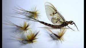 Wildhunter.ie - Mayfly Irish Tied -  Fly Fishing Flies 