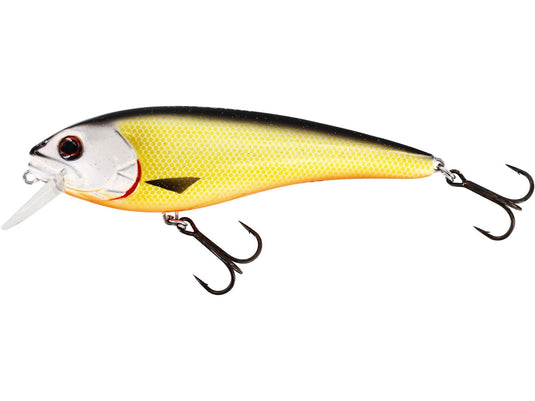Wildhunter.ie - Rawbite Crankbait 17cm | 100grams | Low Floating -  Predator Lures 
