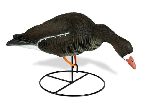 Wildhunter.ie - White Fronted Goose Bent Over -  Decoys 