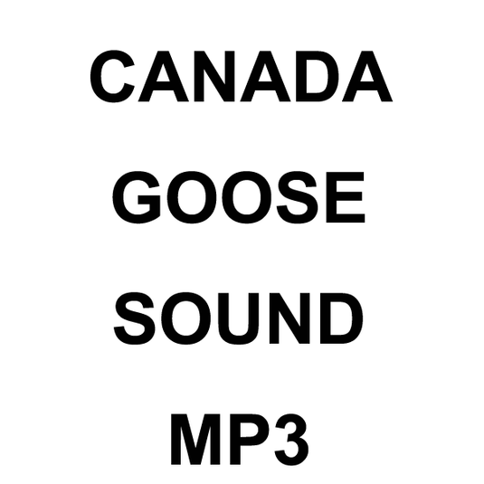 Wildhunter.ie - Canada Goose MP3 Sound Download -  MP3 Downloads 