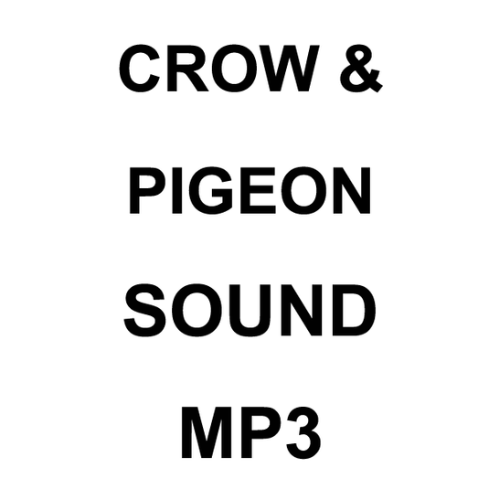 Wildhunter.ie - Crow & Pigeon MP3 Sound Download -  MP3 Downloads 