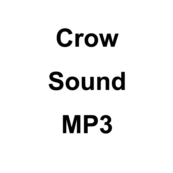 Wildhunter.ie - Crow Sound MP3 Download -  MP3 Downloads 