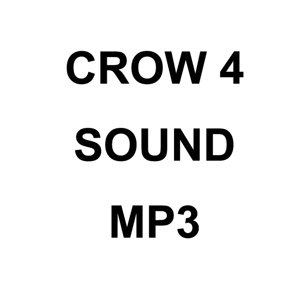 Wildhunter.ie - Crow4 MP3 Sound Download -  MP3 Downloads 