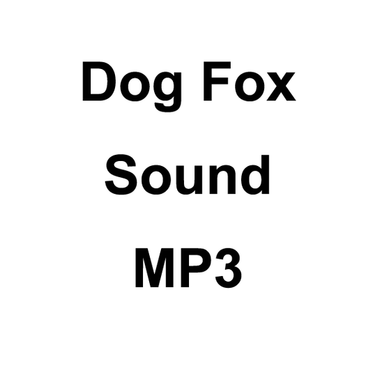 Wildhunter.ie - Dog Fox Sound MP3 Download -  MP3 Downloads 