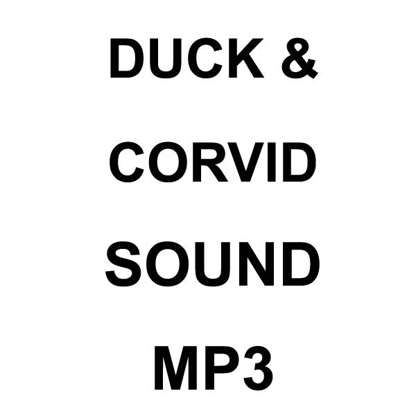 Wildhunter.ie - Duck & Corvid MP3 Sound Download -  MP3 Downloads 