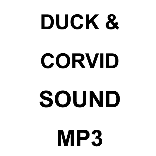 Wildhunter.ie - Duck & Corvid MP3 Sound Download -  MP3 Downloads 