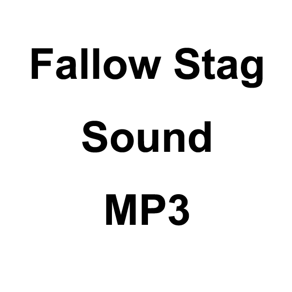 Wildhunter.ie - Fallow Stag Sound MP3 Download -  MP3 Downloads 