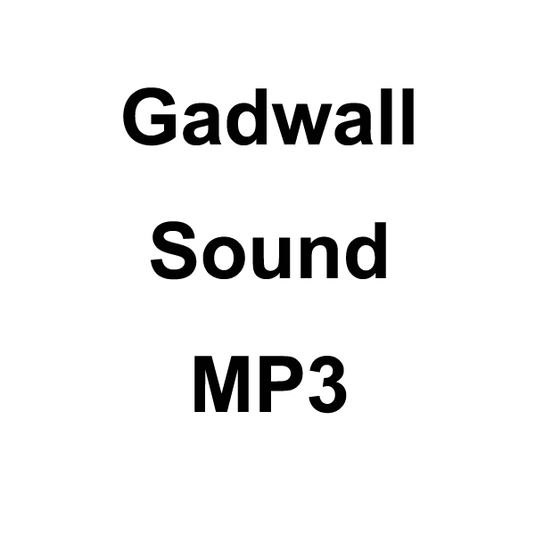 Wildhunter.ie - Gadwall Sound MP3 Download -  MP3 Downloads 