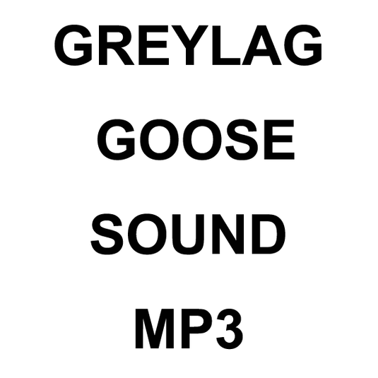 Wildhunter.ie - Greylag Goose MP3 Sound Download -  MP3 Downloads 