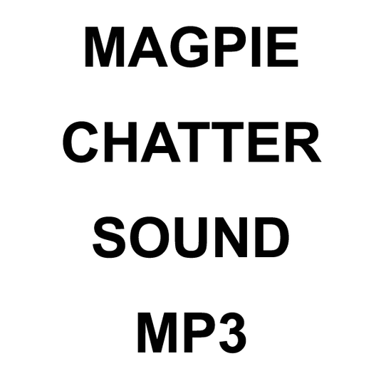 Wildhunter.ie - Magpie Chatter MP3 Sound Download -  MP3 Downloads 