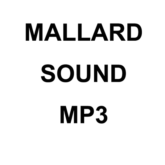 Wildhunter.ie - Mallard MP3 Sound Download -  MP3 Downloads 