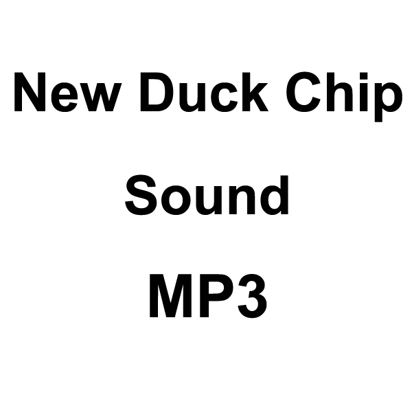 Wildhunter.ie - New Duck Chip Sound MP3 Download -  MP3 Downloads 