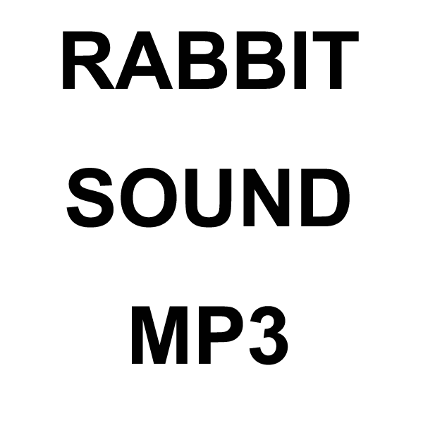Wildhunter.ie - Rabbit-1 MP3 Sound Download -  MP3 Downloads 