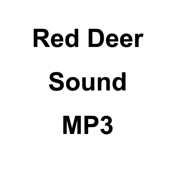 Wildhunter.ie - Red Deer Sound MP3 Download -  MP3 Downloads 