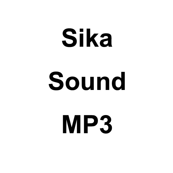 Wildhunter.ie - Sika Sound MP3 Download -  MP3 Downloads 