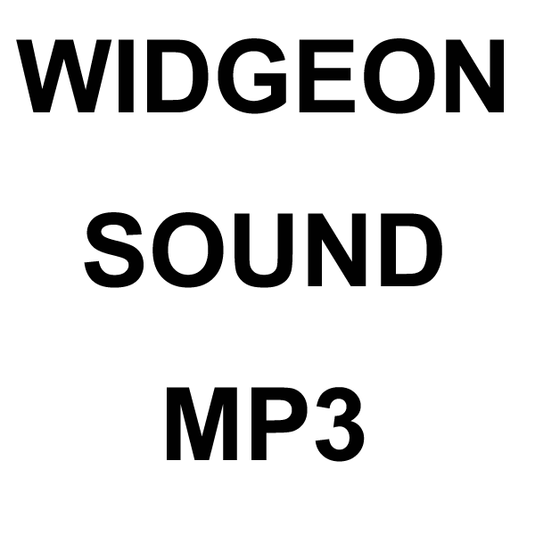 Wildhunter.ie - Widgeon MP3 Sound Download -  MP3 Downloads 