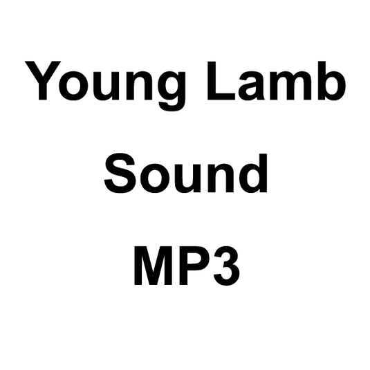 Wildhunter.ie - Young Lamb Sound MP3 Download -  MP3 Downloads 