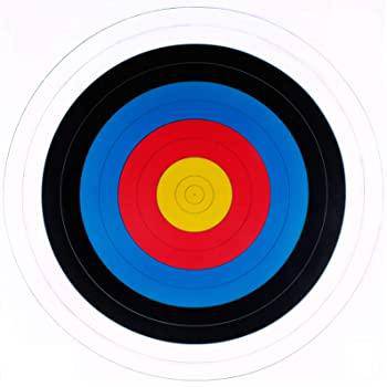 Wildhunter.ie - World Archery 60cm Archery Target -  Archery Accessories 